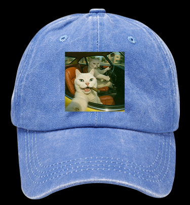 Cool Cats on the Road Vintage Washed 100% Cotton Baseball Hat