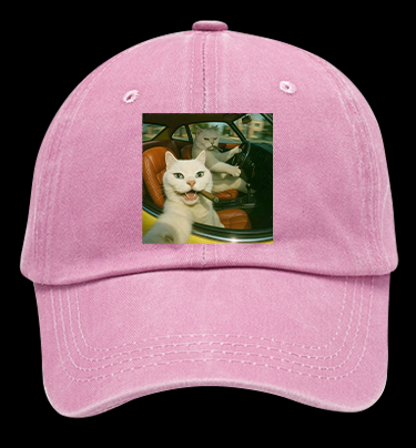 Cool Cats on the Road Vintage Washed 100% Cotton Baseball Hat