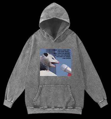 Small Mouse, Big Stress Vintage Washed 100% Cotton Hoodie