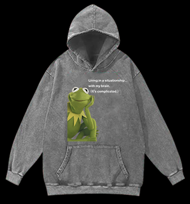 Contemplative Frog Vintage Washed 100% Cotton Hoodie