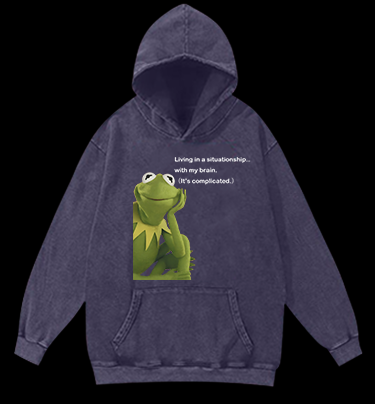 Contemplative Frog Vintage Washed 100% Cotton Hoodie