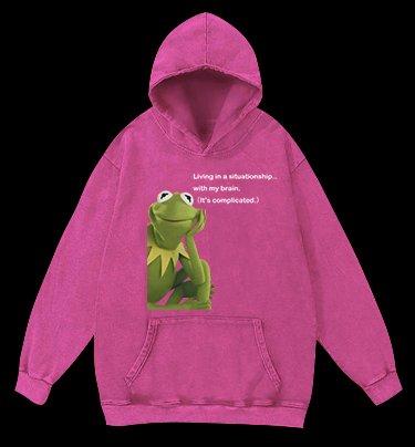 Contemplative Frog Vintage Washed 100% Cotton Hoodie
