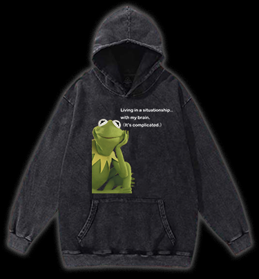 Contemplative Frog Vintage Washed 100% Cotton Hoodie