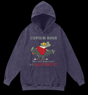 Frog's Aesthetic Depress Vintage Washed 100% Cotton Hoodie