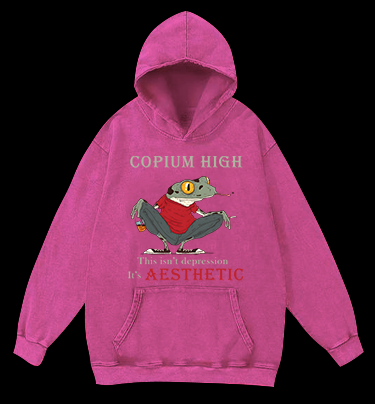 Frog's Aesthetic Depress Vintage Washed 100% Cotton Hoodie
