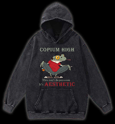 Frog's Aesthetic Depress Vintage Washed 100% Cotton Hoodie