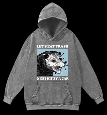 Mouse's Trash Plan Vintage Washed 100% Cotton Hoodie