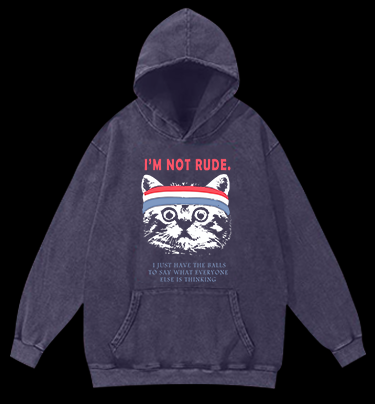 Cat's Bold Truth Vintage Washed 100% Cotton Hoodie
