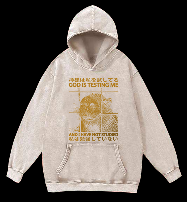 Capybara's Test Trouble Vintage Washed 100% Cotton Hoodie