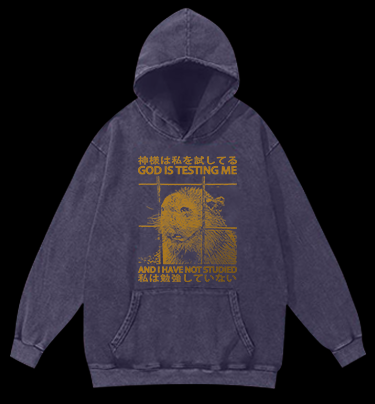 Capybara's Test Trouble Vintage Washed 100% Cotton Hoodie