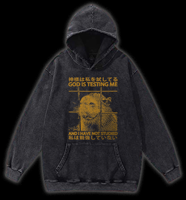 Capybara's Test Trouble Vintage Washed 100% Cotton Hoodie