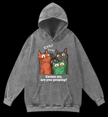 Funny Cat Question Vintage Washed 100% Cotton Hoodie