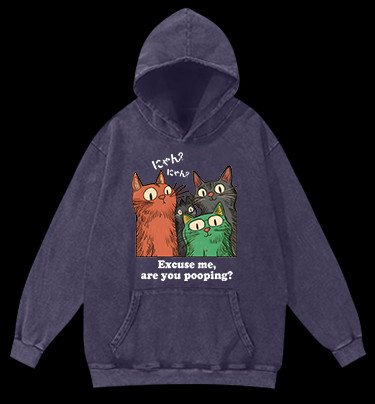 Funny Cat Question Vintage Washed 100% Cotton Hoodie
