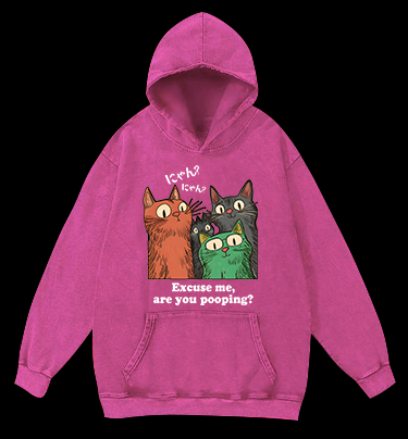 Funny Cat Question Vintage Washed 100% Cotton Hoodie