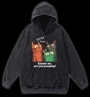 Funny Cat Question Vintage Washed 100% Cotton Hoodie