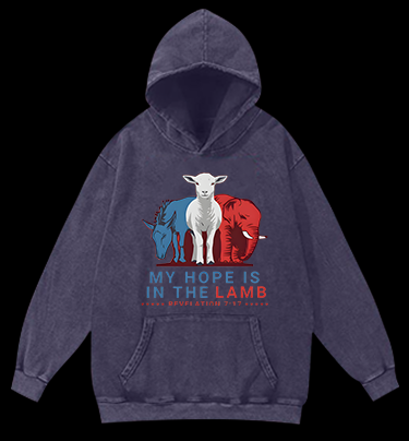 Lamb's Faith Style Vintage Washed 100% Cotton Hoodie