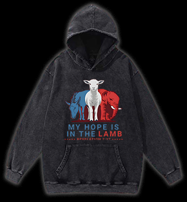 Lamb's Faith Style Vintage Washed 100% Cotton Hoodie