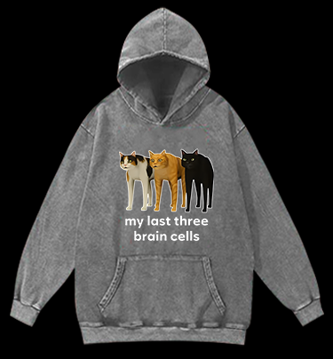 Cat's Brainy Style Vintage Washed 100% Cotton Hoodie