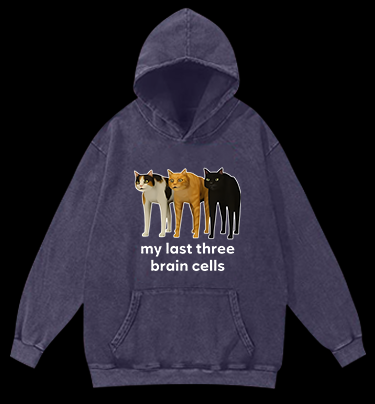 Cat's Brainy Style Vintage Washed 100% Cotton Hoodie