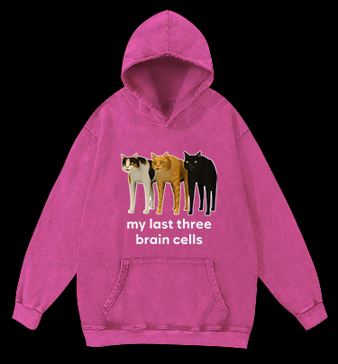 Cat's Brainy Style Vintage Washed 100% Cotton Hoodie