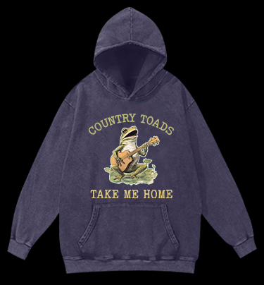 Guitar Frog Roadtrip Vintage Washed 100% Cotton Hoodie