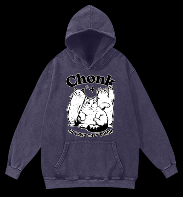 Chonk Cat Trio Vintage Washed 100% Cotton Hoodie