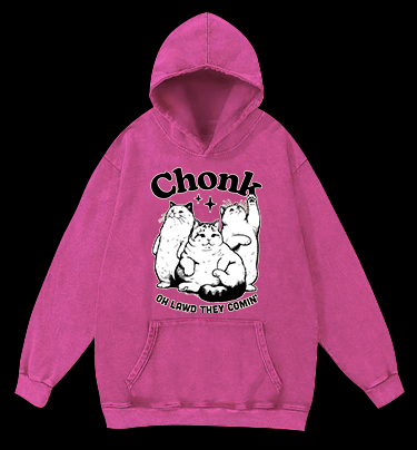 Chonk Cat Trio Vintage Washed 100% Cotton Hoodie