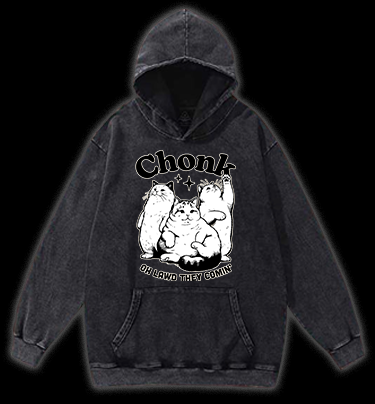 Chonk Cat Trio Vintage Washed 100% Cotton Hoodie