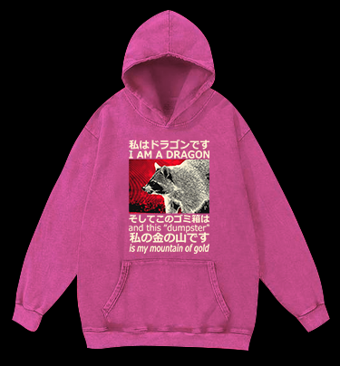 Raccoon and Its Dumpster Treasure Vintage Washed 100% Cotton Hoodie