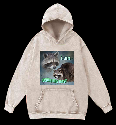 Raccoon Tried His Best Vintage Washed 100% Cotton Hoodie