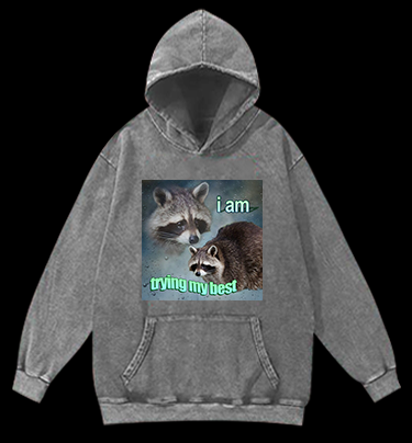 Raccoon Tried His Best Vintage Washed 100% Cotton Hoodie