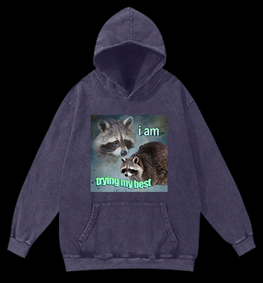 Raccoon Tried His Best Vintage Washed 100% Cotton Hoodie