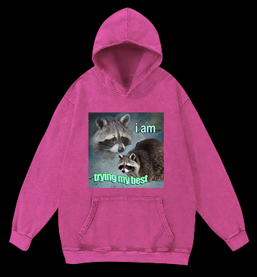 Raccoon Tried His Best Vintage Washed 100% Cotton Hoodie