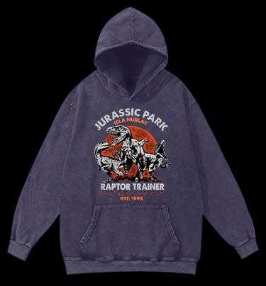 JURASSIC PARK Vintage Washed 100% Cotton Hoodie