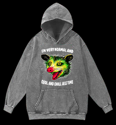 The Normal Mouse Vintage Washed 100% Cotton Hoodie