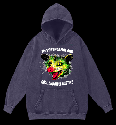 The Normal Mouse Vintage Washed 100% Cotton Hoodie