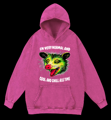 The Normal Mouse Vintage Washed 100% Cotton Hoodie