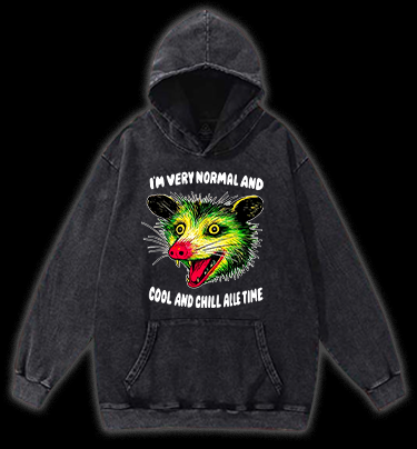 The Normal Mouse Vintage Washed 100% Cotton Hoodie