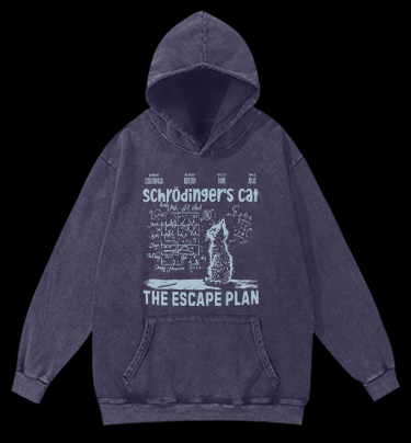 Schrödinger's Cat Vintage Washed 100% Cotton Hoodie