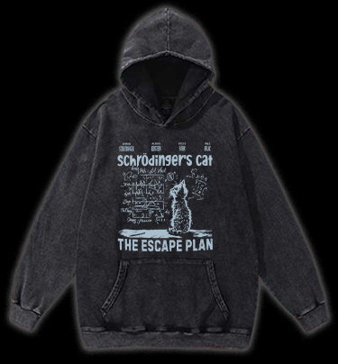 Schrödinger's Cat Vintage Washed 100% Cotton Hoodie