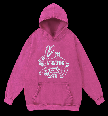 IntrovertLife Vintage Washed 100% Cotton Hoodie