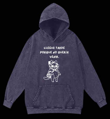 Hidden Light Traces Bear Vintage Washed 100% Cotton Hoodie