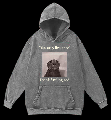 Funny Melancholy Cat Vintage Washed 100% Cotton Hoodie