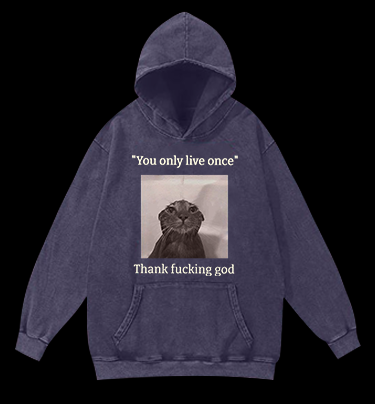 Funny Melancholy Cat Vintage Washed 100% Cotton Hoodie