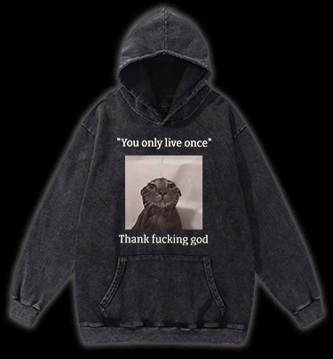 Funny Melancholy Cat Vintage Washed 100% Cotton Hoodie