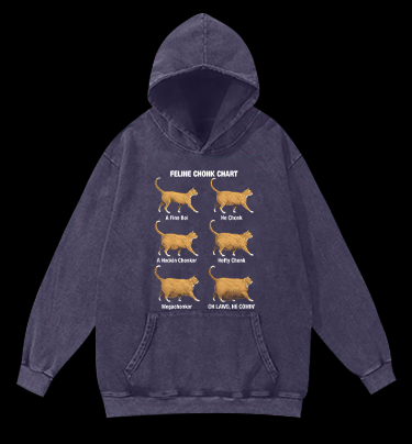 Feline Chonk Chart Cat Vintage Washed 100% Cotton Hoodie
