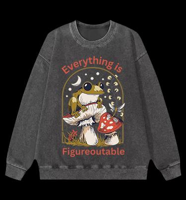 Frog's Figureoutable Vintage Washed 100% Cotton Sweatshirt