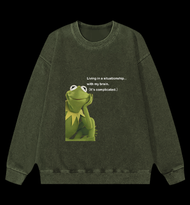 Contemplative Frog Vintage Washed 100% Cotton Sweatshirt