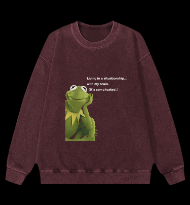 Contemplative Frog Vintage Washed 100% Cotton Sweatshirt
