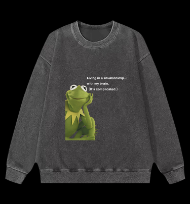 Contemplative Frog Vintage Washed 100% Cotton Sweatshirt